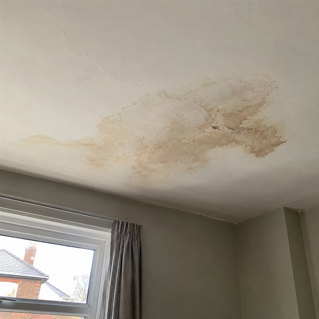 Leak repaired under the sink, before